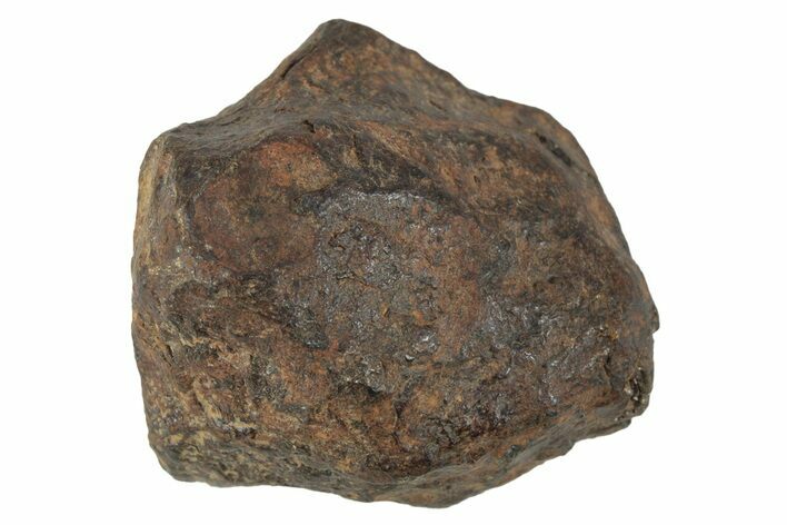 Agoudal Iron Meteorite ( g) - Morocco #245612